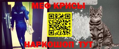 a pvp Кингисепп