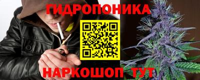 a pvp Кингисепп