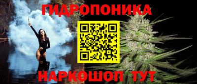 a pvp Кингисепп