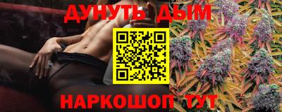 a pvp Кингисепп