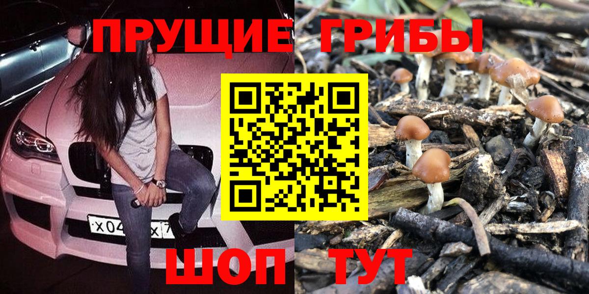 Галлюциногенные грибы MAGIC MUSHROOMS Урюпинск