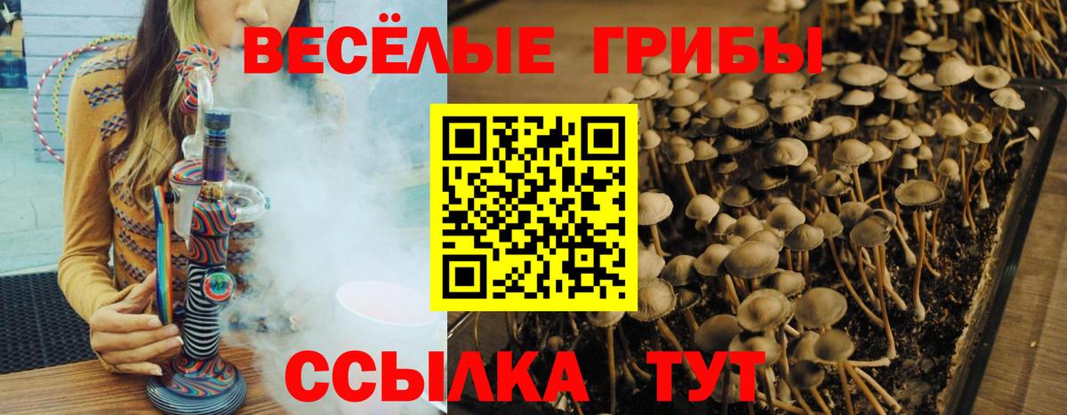 Урюпинск  Псилоцибиновые грибы мицелий  Вход с VPN 